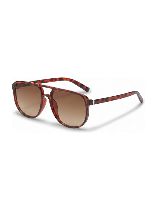The Hudson Aviator